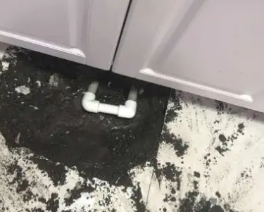 鸡冠查漏水哪家好