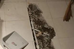 鸡冠卫生间漏水检测电话